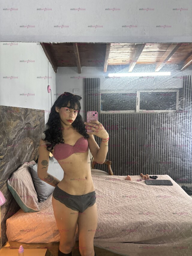 FOTOS DE NENA TRANS, POLLITA PAISA VERGONA, CON SITIO PRIVADO EN BELÉN.