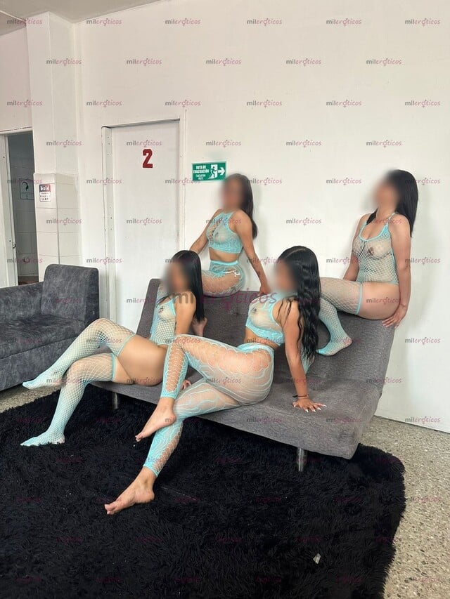FOTOS DE VEN Y VIVE UNA RICA AVENTURA CON HERMOSAS CHICAS. CALIENTES Y ARDIENTES BOSA