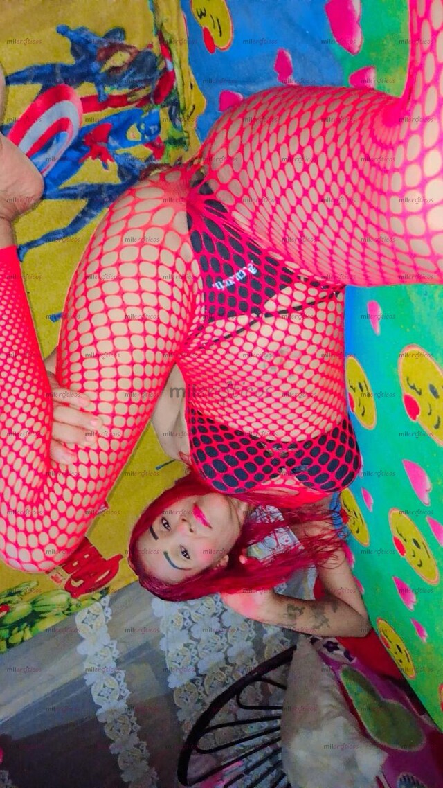 FOTOS DE HOLA BUENAS LLEGO TU FLACA BELLA OTRA VEZ