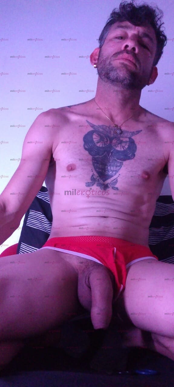 FOTOS DE HOLA SOY ADRIÁN, ACTIVO, VERGON, COMPLACIENTE. 20 CM