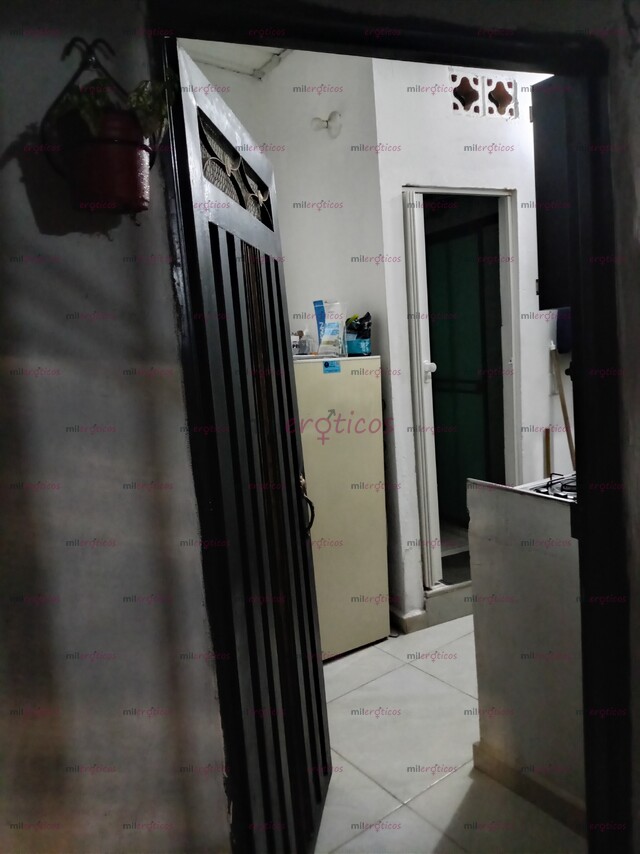 FOTOS DE BUSCO CHICA TIPO ROMMING PARA MI APARTAESTUDIO VIVIR Y TRABAJAR