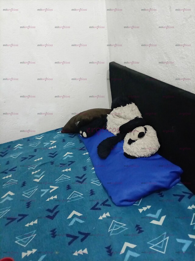 FOTOS DE BUSCO CHICA TIPO ROMMING PARA MI APARTAESTUDIO VIVIR Y TRABAJAR