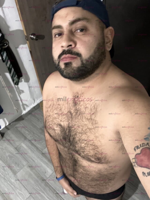 FOTOS DE OSITO BARBON MASCULINO PASIVO Y COMPLACIENTE CULITO PELUDO
