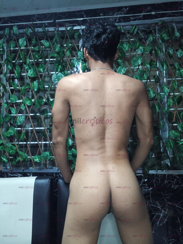 FOTOS DE VERS DOT 19CM NUEVO AQUI 20 AÑOS BOGOTA.