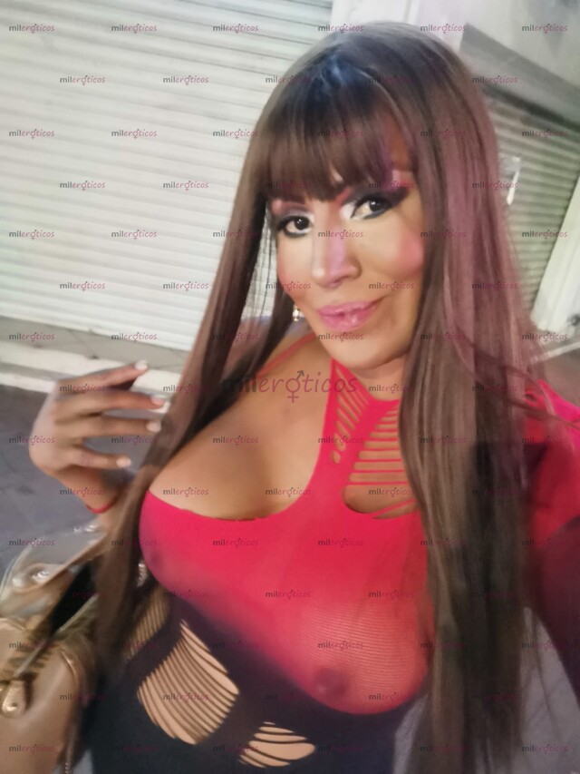 FOTOS DE MORENA DE VISTA EN TU CIUDAD ACTIVA E HIGIÉNICA