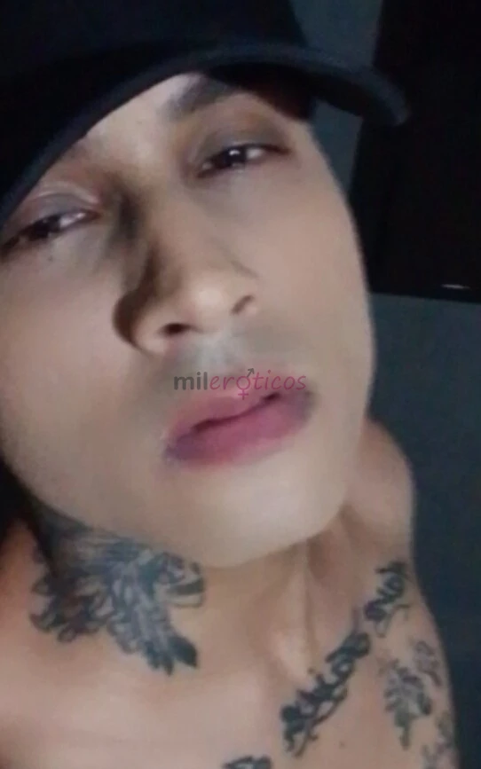 Alexandre ale dotado 22 cm de pica no talo pra te fuder com satisfacao zona sul sp ativo vamos fuder gostoso chama no meu whatsapp para combinar meia...