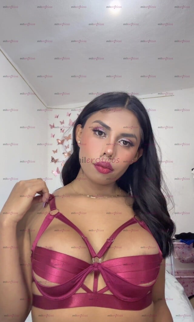 FOTOS DE NIÑA NUEVA EN TU CIUDAD LISTA PARA CUMPLIR TODAS TUS FANTASÍAS MI AMOR .