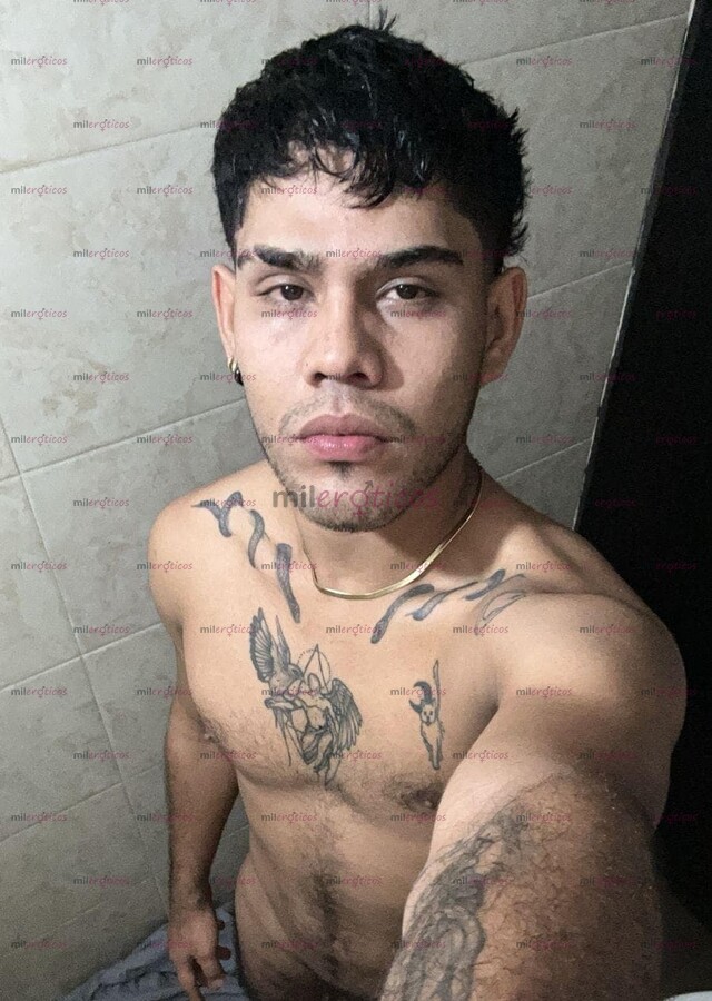 FOTOS DE POLLO PAISA VELLUDO TATUADO VARONIL Y DISCRETO.