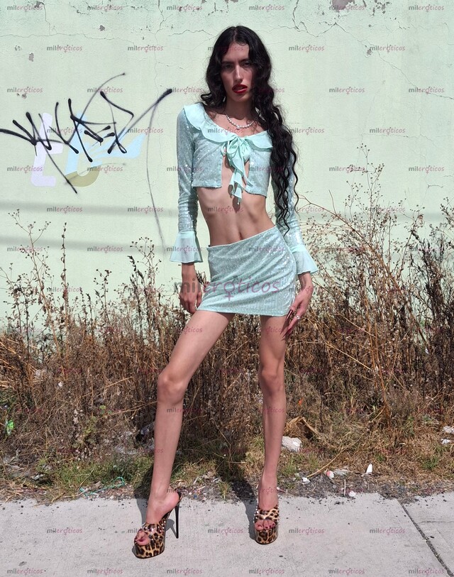 FOTOS DE TU FLAQUITA DELICIOSA. EDUCADA Y SUPER COMPLACIENTE.SOY CHICA TRANS LATINA.