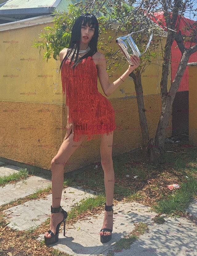 FOTOS DE TU FLAQUITA DELICIOSA. EDUCADA Y SUPER COMPLACIENTE.SOY CHICA TRANS LATINA.