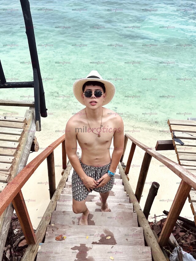 FOTOS DE UNIVERSITARIO VERGON LECHERO 23CM ACTIVO SIN ROLLOS CONTENIDO VIDEO LLAMADA