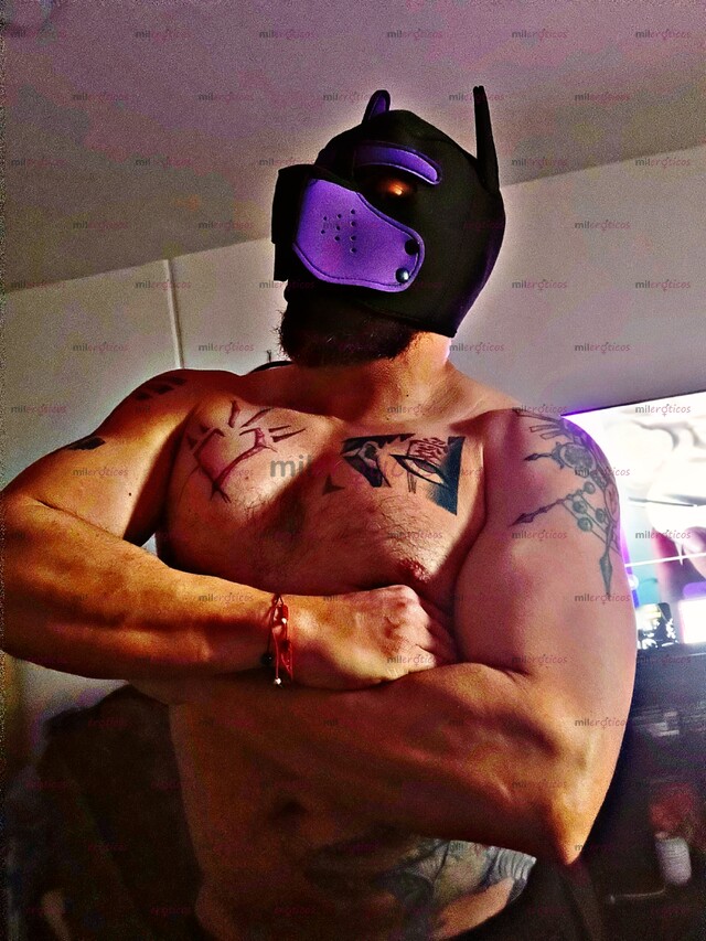 FOTOS DE .. SERVICIO DE BARBERIA Y MASAJES EROTICOS..MASK PUPPY.. CITAS ACOMPAÑANTE