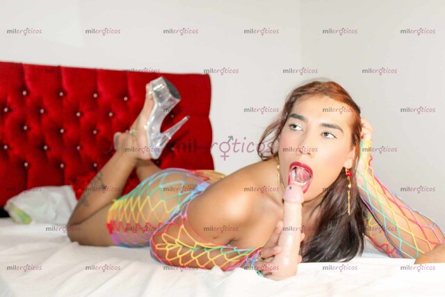 FOTOS DE VEN Y DISFRUTA DE ESA CHICA TRANS SOY DEL HUILA DE PIEL MORENA RICA Y DELICIOSA