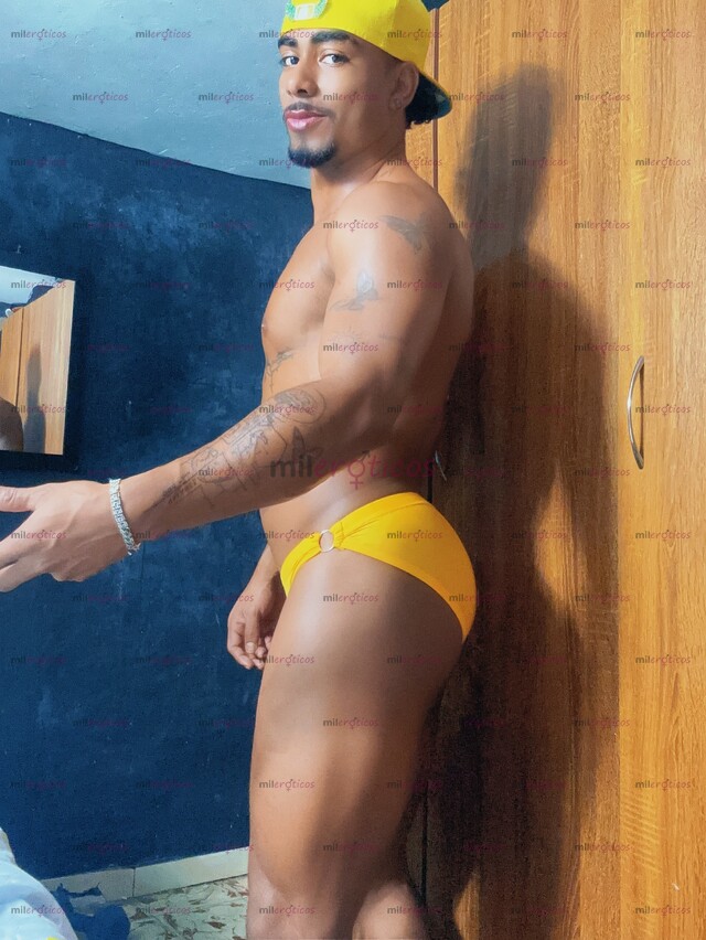 FOTOS DE ACTIVO PICHON Y CULION EN MEDELLÍN PARA PASIVOS CON SITIO