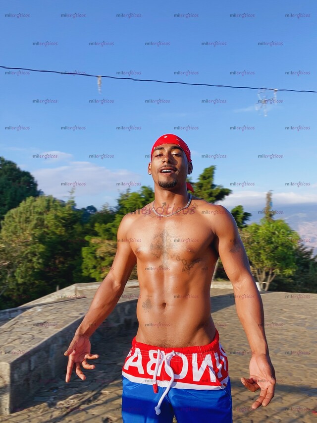 FOTOS DE ACTIVO PICHON Y CULION EN MEDELLÍN PARA PASIVOS CON SITIO