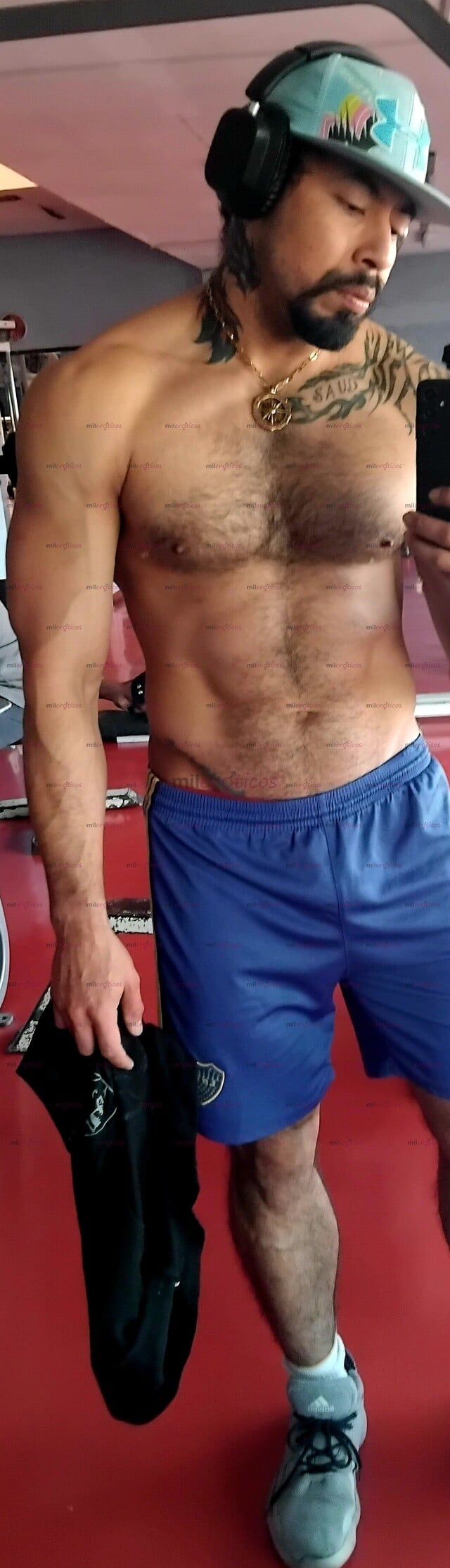 FOTOS DE TORO$$$ ACTIVO, MACHO PELUDO, VERGON 178CM. $$$