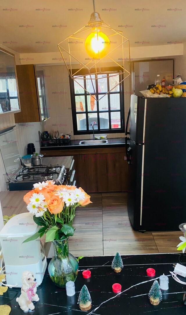 FOTOS DE EXCLUSIVA CASA EN EL CENTRO DE IBAGUÉ MANSIÓN FEM