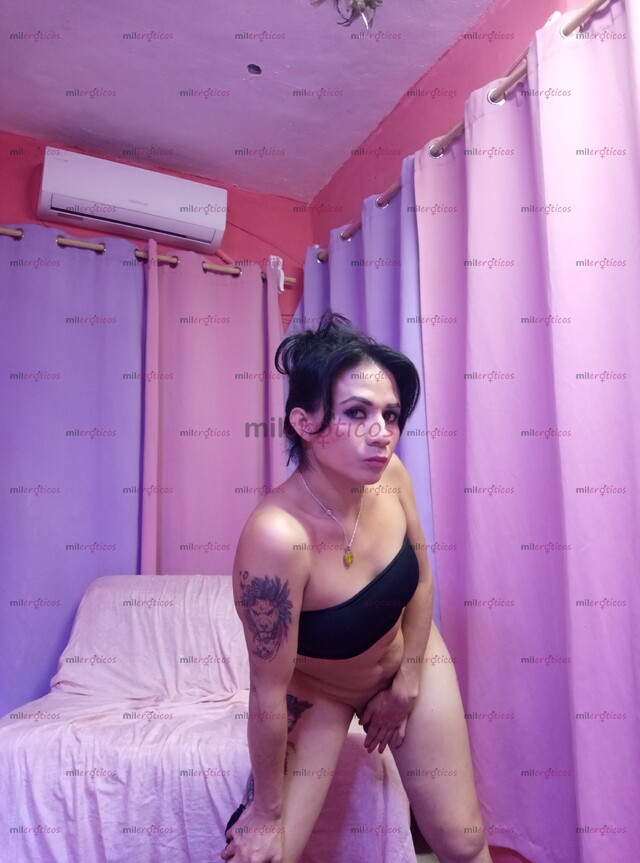 FOTOS DE DE REGRESO EN TU CIUDAD RIVIERA MAYA YA DISPONIBLE