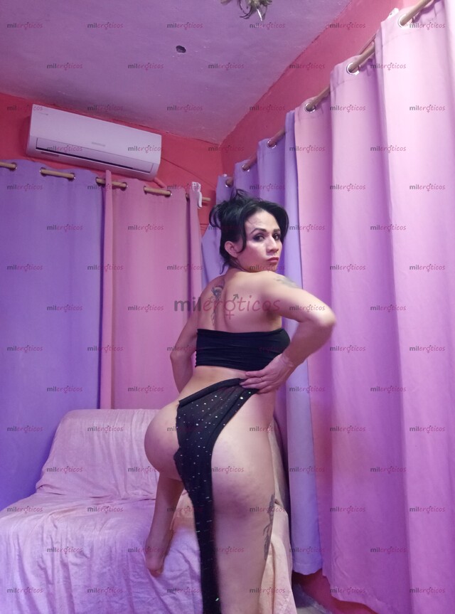 FOTOS DE DE REGRESO EN TU CIUDAD RIVIERA MAYA YA DISPONIBLE