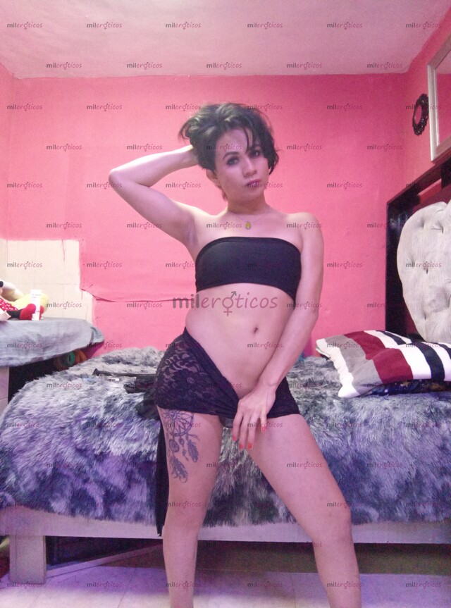 FOTOS DE DE REGRESO EN TU CIUDAD RIVIERA MAYA YA DISPONIBLE