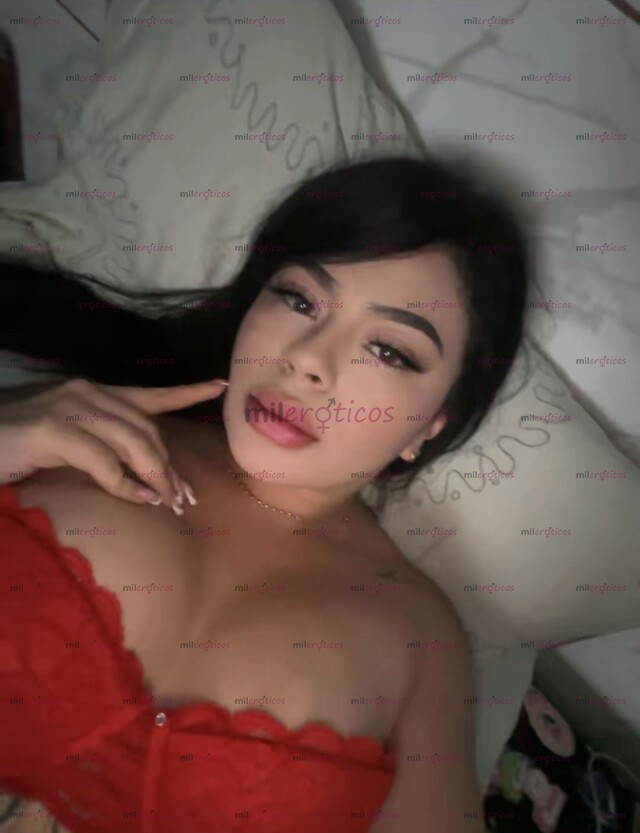 FOTOS DE CHICA SEXY TRAVIESA, DELICIOSA ESCORT VIP