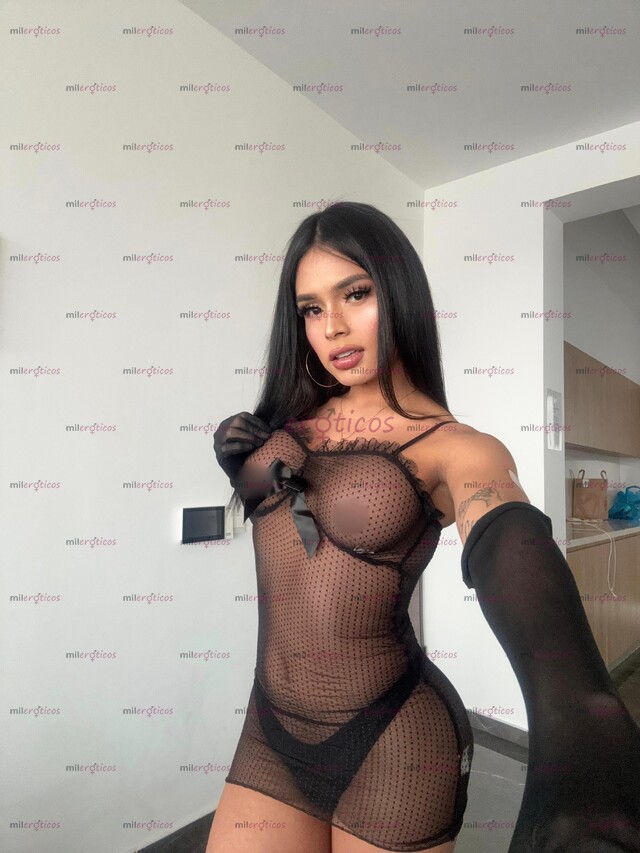 FOTOS DE TRATOS DE NOVIOS SIN AFAN TRANS VERSÁTIL DISPONIBLE