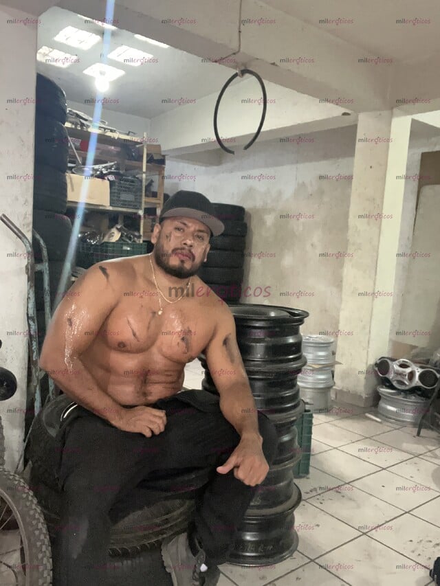 FOTOS DE NICOLÁS CHACAL VERGON LLENO DE LECHE SEMENTAL PARA MONTAR HEMBRAS