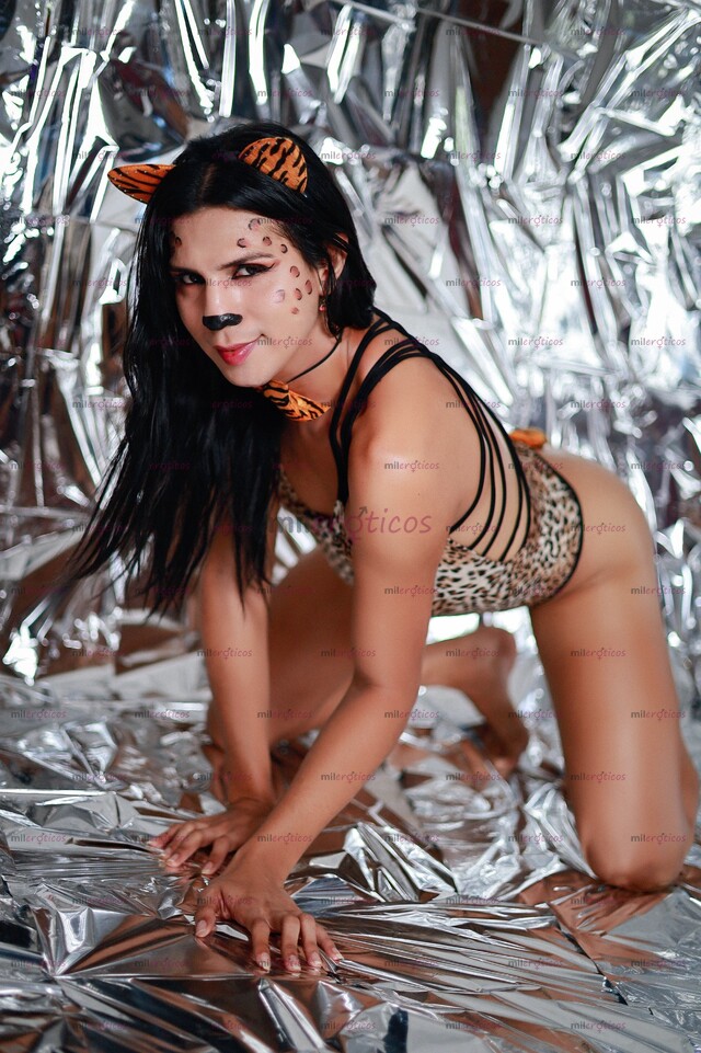 FOTOS DE MIA , NUEVA NENA TRANS EXPERTA EN COMPLACERTE,PREGUNTA POR TODO MI CONTENIDO