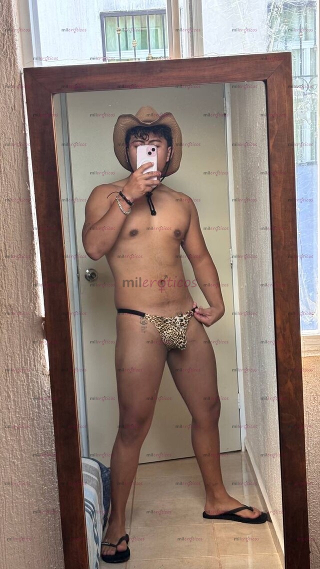 FOTOS DE SEMENTAL VERACRUZANO DOMINANTE LISTO PARA LLENARTE DE LECHE