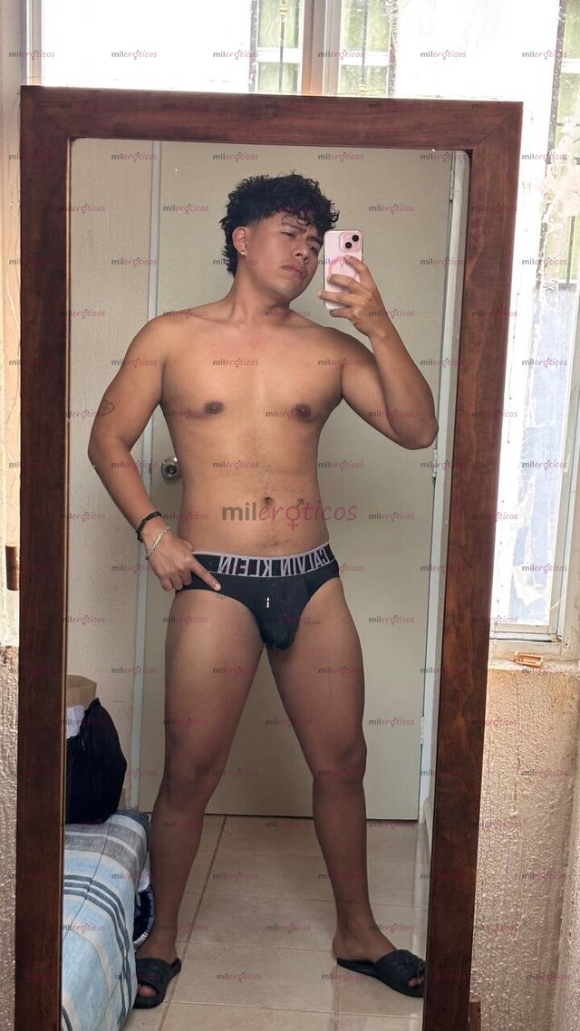 FOTOS DE SEMENTAL VERACRUZANO DOMINANTE LISTO PARA LLENARTE DE LECHE