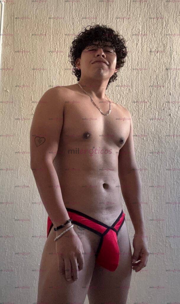 FOTOS DE SEMENTAL VERACRUZANO DOMINANTE LISTO PARA LLENARTE DE LECHE