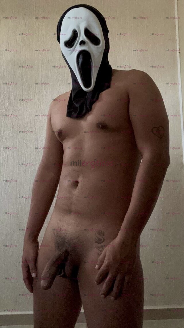 FOTOS DE SEMENTAL VERACRUZANO DOMINANTE LISTO PARA LLENARTE DE LECHE