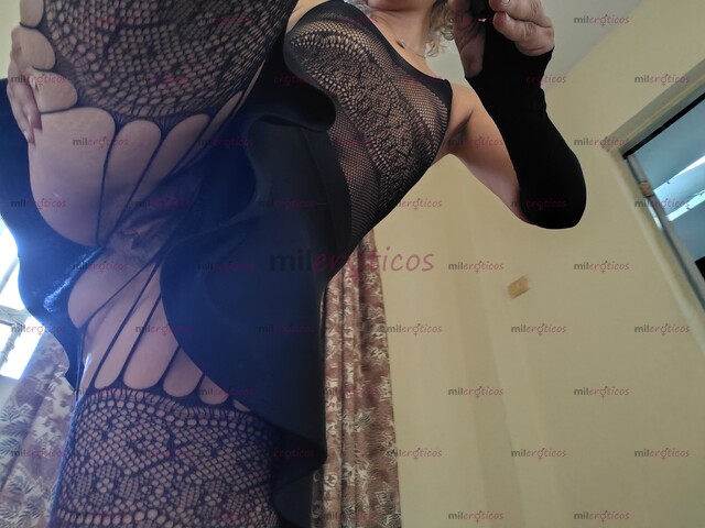 FOTOS DE HOLI, CACHORRITO LEE XFIS XFA XQ M QUEDÉ SIN WHAT