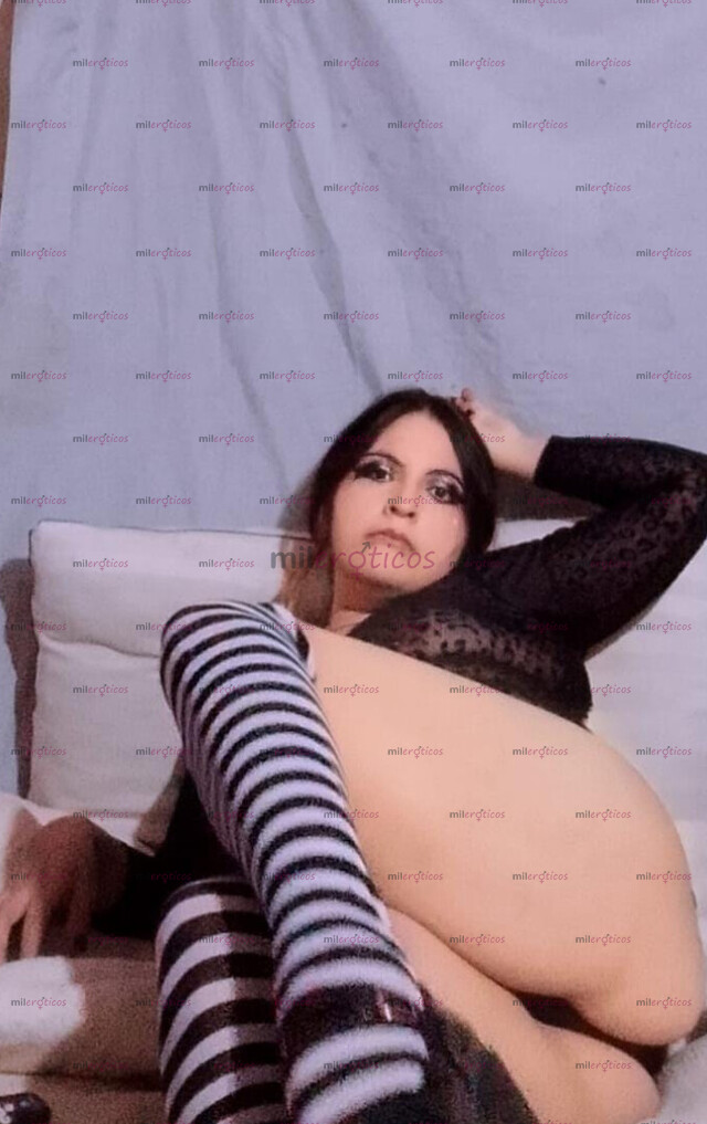 FOTOS DE HOLA, DADDY, ¿QUIERES UNA CONEJITA REBOTANDO SOBRE TÍ?