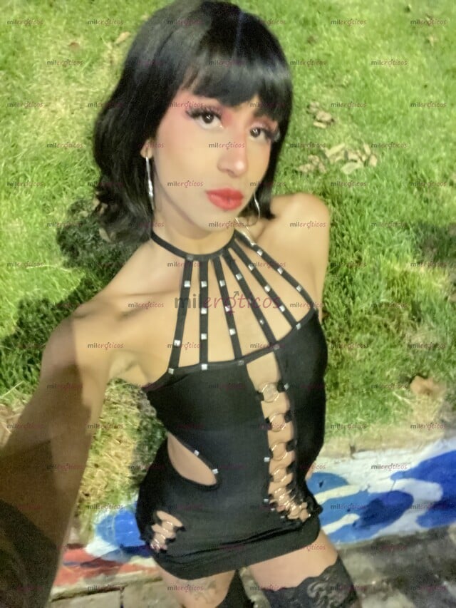 FOTOS DE CHICA TRANS HERMOSA, AQUI EN LA CIUDAD PARA TI