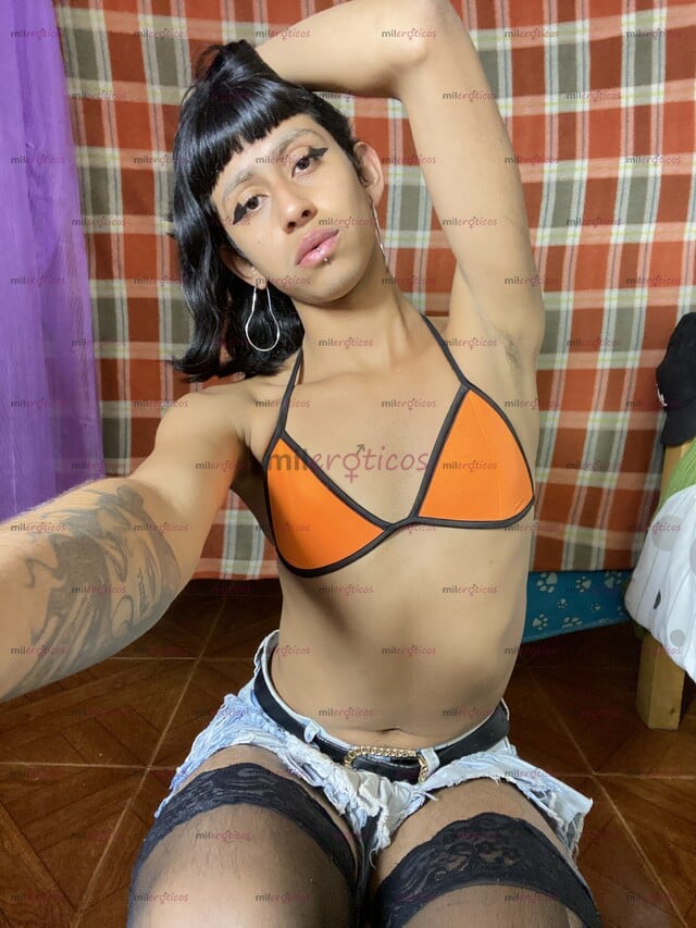 FOTOS DE CHICA TRANS HERMOSA, AQUI EN LA CIUDAD PARA TI