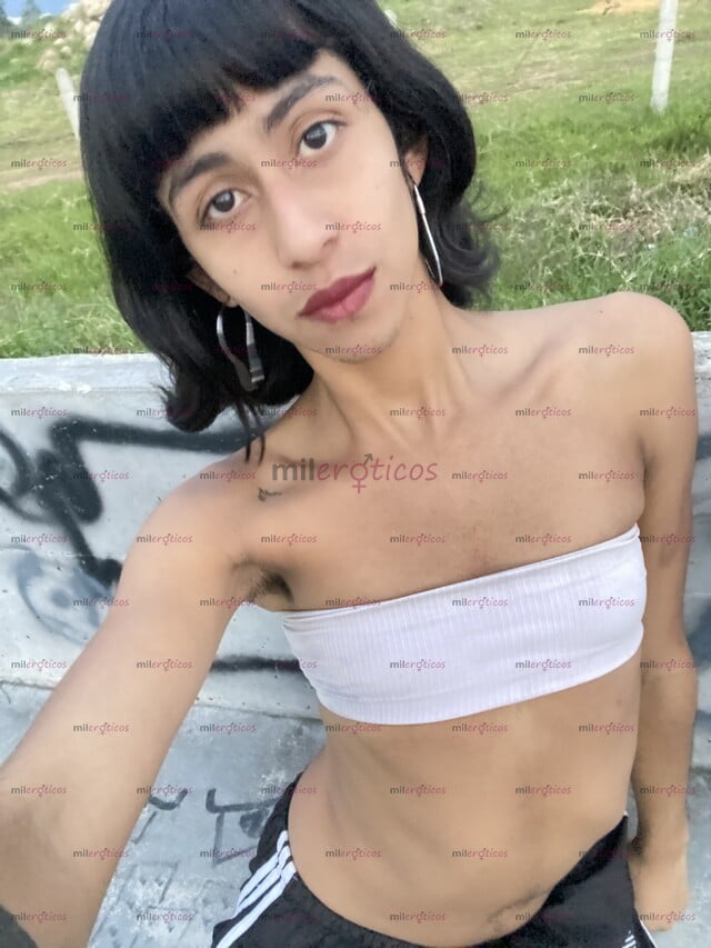 FOTOS DE CHICA TRANS HERMOSA, AQUI EN LA CIUDAD PARA TI