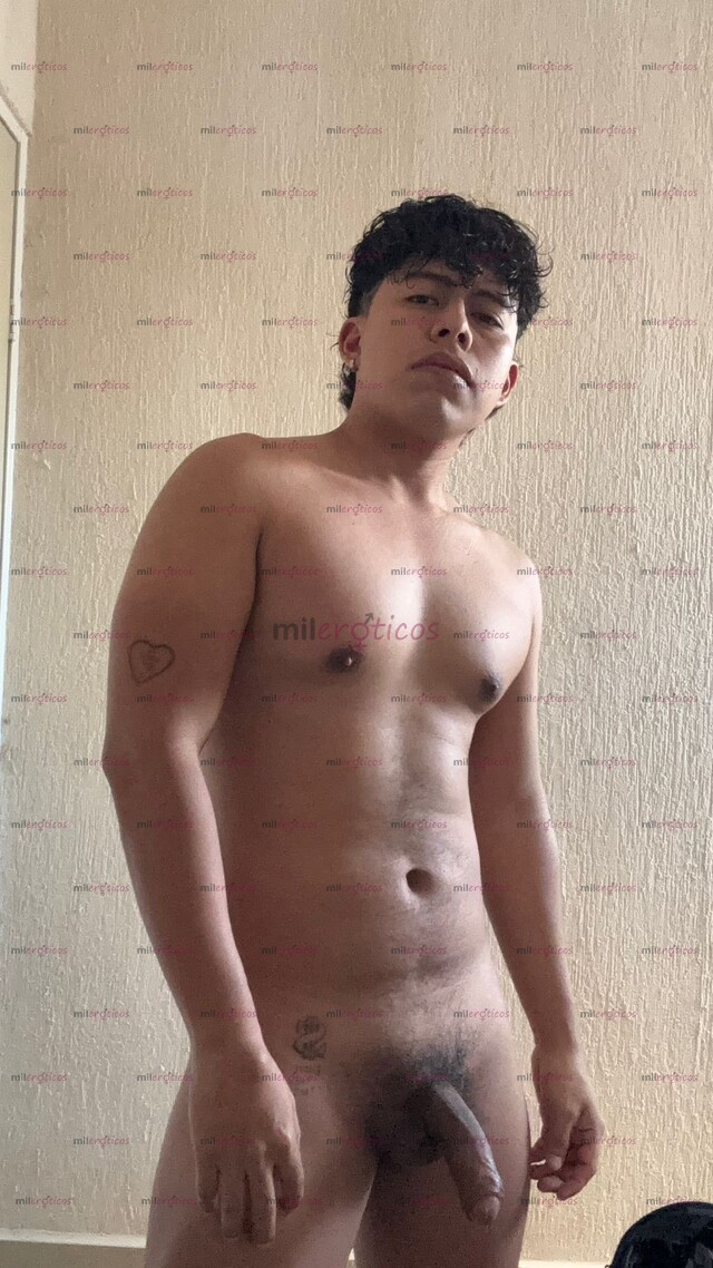 FOTOS DE SEMENTAL VERACRUZANO DOMINANTE LISTO PARA LLENARTE DE LECHE