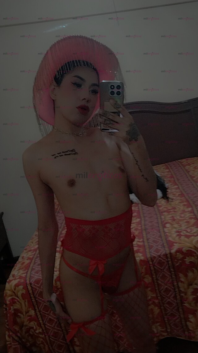 FOTOS DE ESTRELLA FEMBOY CACHONDX VENTA DE CONTENIDO 18 Y VIDEOLLAMADAS HOT