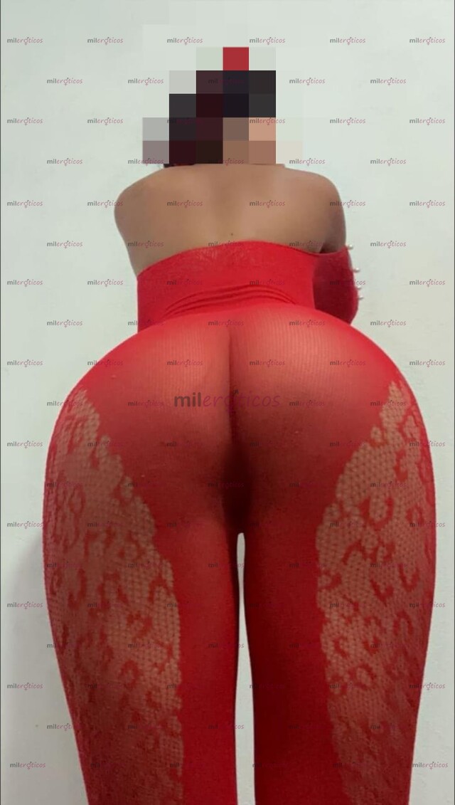 FOTOS DE POLLITA RECIÉN LLEGADA HERMOSO CUERPO DE BUEN ROSTRO