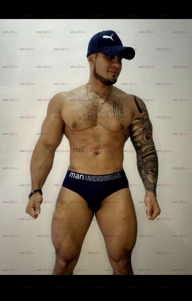 FOTOS DE DISPONIBLE MACHO ALFA DISPONIBLE Y NUEVO EN LA CIUDAD