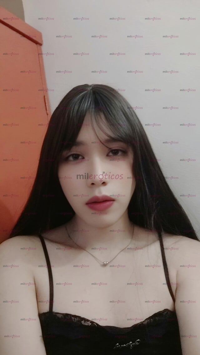 FOTOS DE NIÑA TRAVESTI INTER DELGADA PEQUEÑA SIN CIRUGÍAS