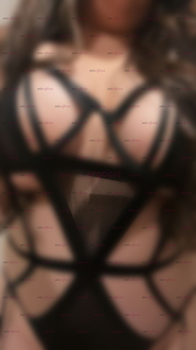 FOTOS DE GORDI BUENA NUEVA EN PÁGINA !!!!!!!!!!!!!!!!!!!!!