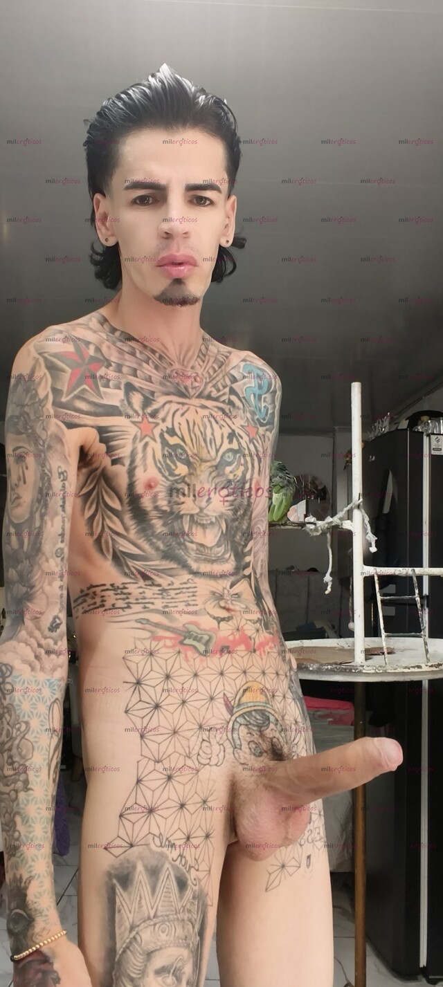 FOTOS DE FLAKITO BLANCO TATUADO VERGON ACTIVO LECHERO