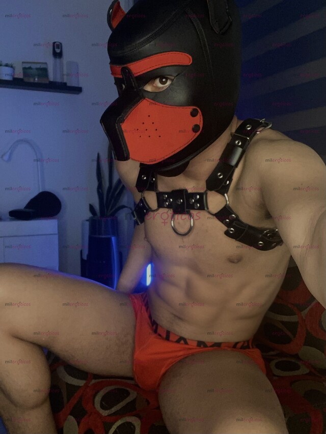 FOTOS DE VERGON 21CM COLOMBIANO LECHERO CON SITIO PRIVADO