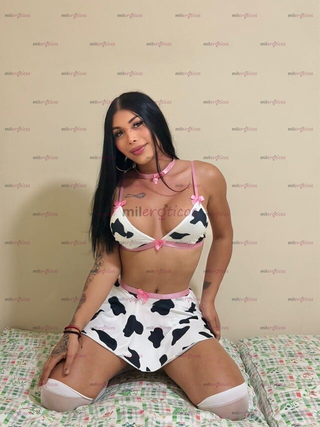 FOTOS DE VACA LECHERA EN TU CUIDAD POCOS DÍAS EN UN BUEN CUERPO QUE PODRÁS DISFRUTAR