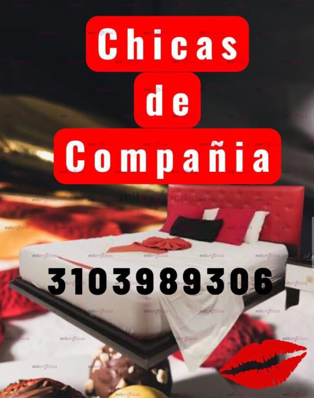 FOTOS DE BUSCO CHICA DE COMPAÑÍA BIEN PRESENTADAS PARA CABALLEROS