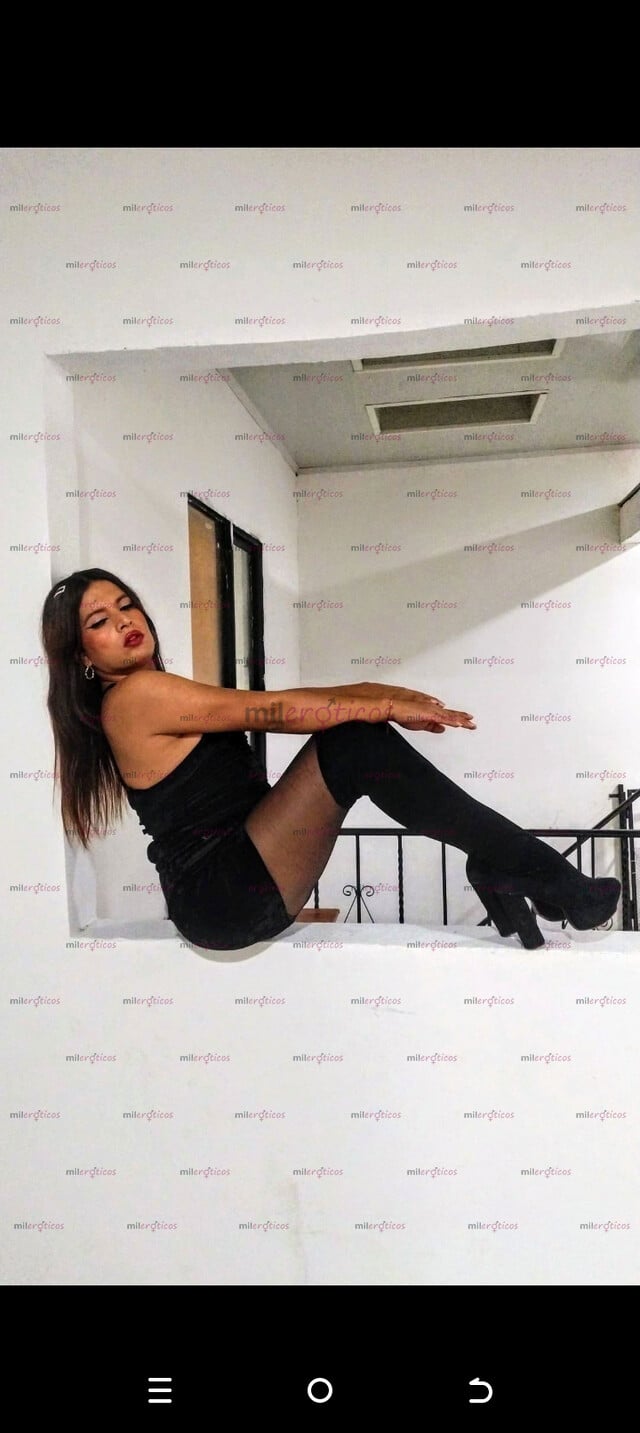 FOTOS DE NO TENGO SITIO KATHA ELEGANCIA AUTENTICA PARA HOMBRES QUE SABEN ELEGIR
