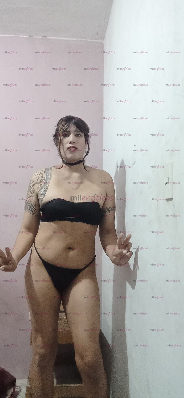FOTOS DE TRANSEXUAL PASIVA MUY ASESIBLE SIEMPRE DISPONIBLE 8714268337