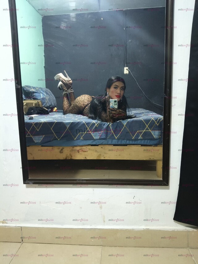 FOTOS DE SIN COMPETENCIA ALGUNA DOTADA LECHERA CON UN RICO CULO APRETADITO